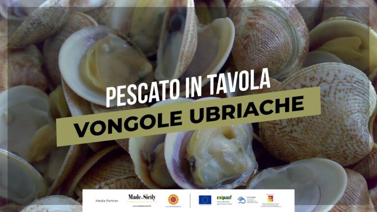 pescato in tavola: vongole di mare