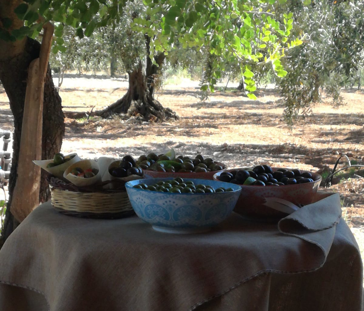 Sciacca, una storia di olive, amore e dedizione