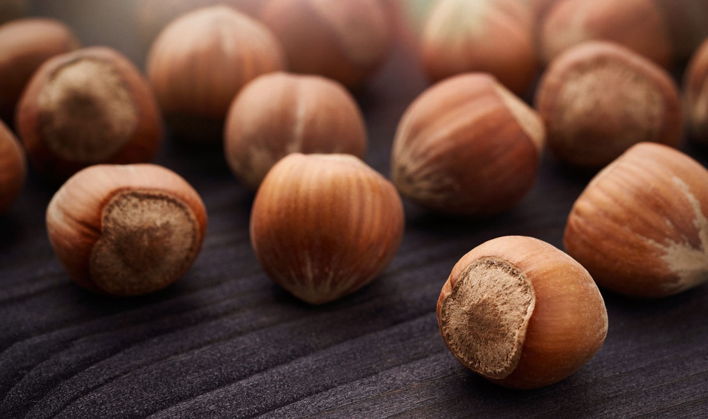 Nocciolando: Bringing the Round Hazelnuts of Mount Etna to Nexxt Expo’ in Los Angeles