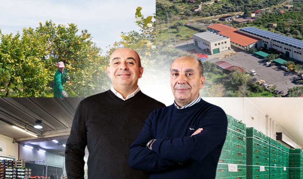 Lumì, tradizione e innovazione al servizio dei migliori limoni siciliani