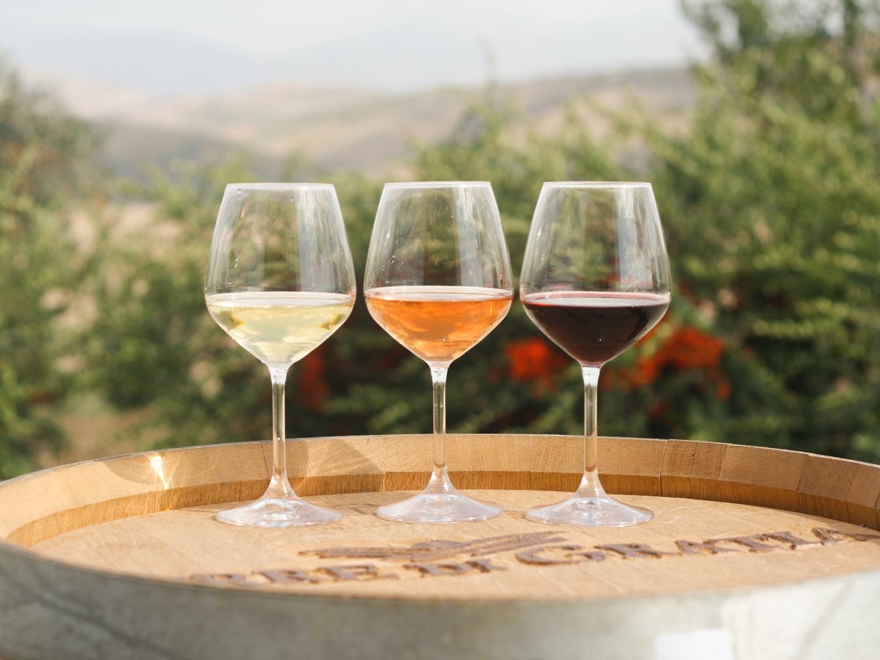 Terre di Gratia: The Essence of Organic Sicilian Wine and Sustainability